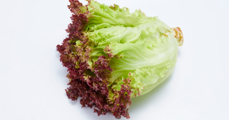 食卓を彩る健康野菜！リーフレタスの魅力と活用法を徹底解説