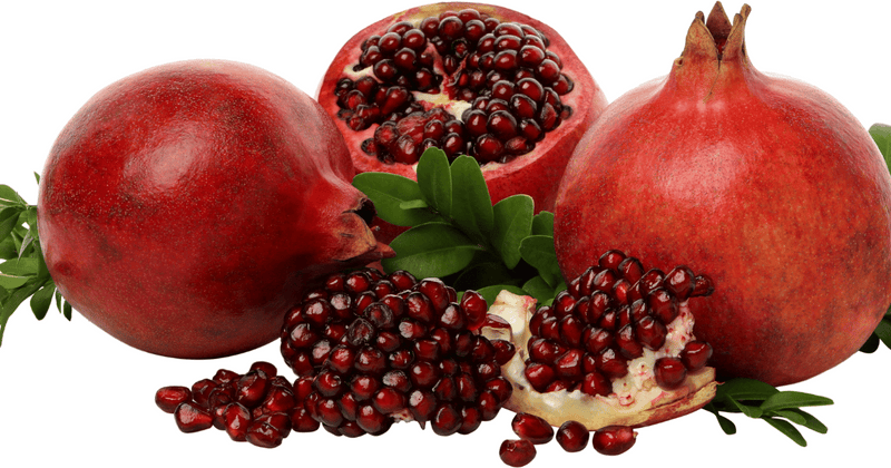 ザクロ剪定で実を結ぶ！何年で実がなる？剪定方法と収穫までの道のり