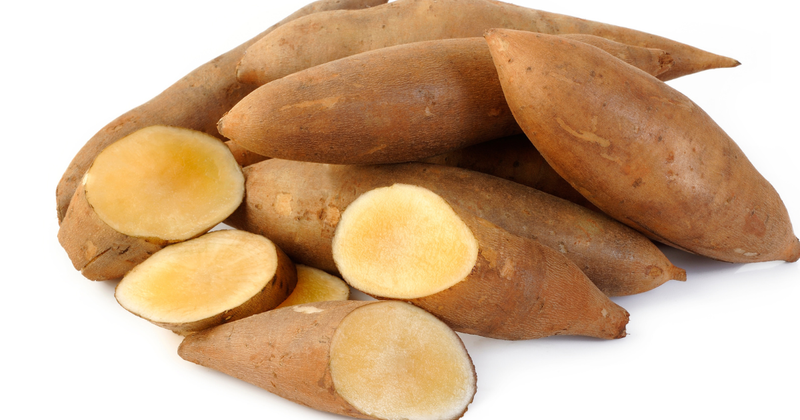 ヤーコンの毒性：安全性と健康効果を徹底解説