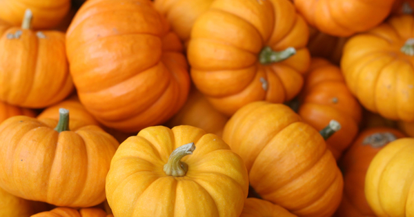 かぼちゃの賞味期限：美味しく安全に楽しむための保存方法と活用レシピ