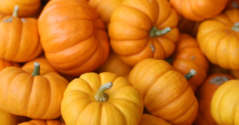 かぼちゃの賞味期限：美味しく安全に楽しむための保存方法と活用レシピ