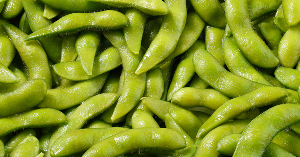 枝豆苗の植え方：初心者でも簡単！プランターで育てる美味しい枝豆