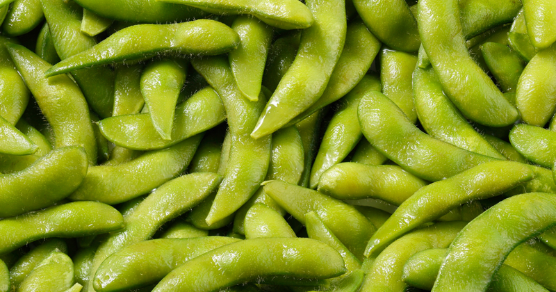 枝豆苗の植え方：初心者でも簡単！プランターで育てる美味しい枝豆