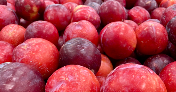 すもも、プラム、プルーンの違いとは？特徴・品種・食べ方を徹底解説！