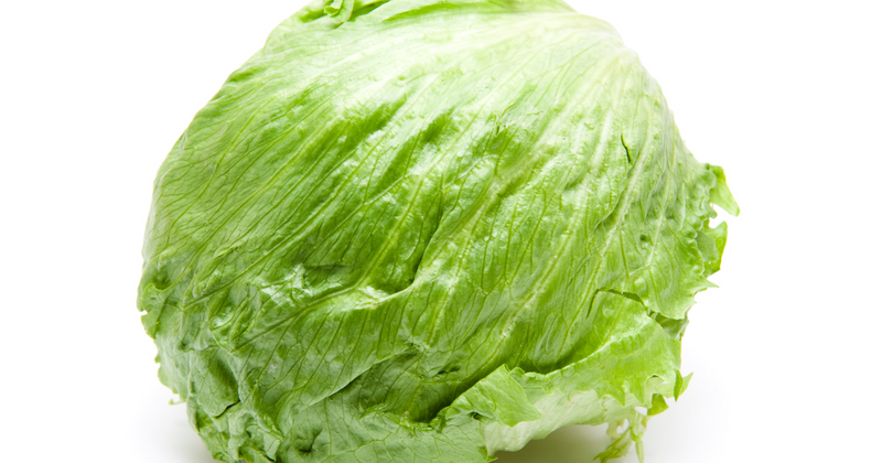 レタスの白い液体の正体：乳液の秘密と新鮮さの証