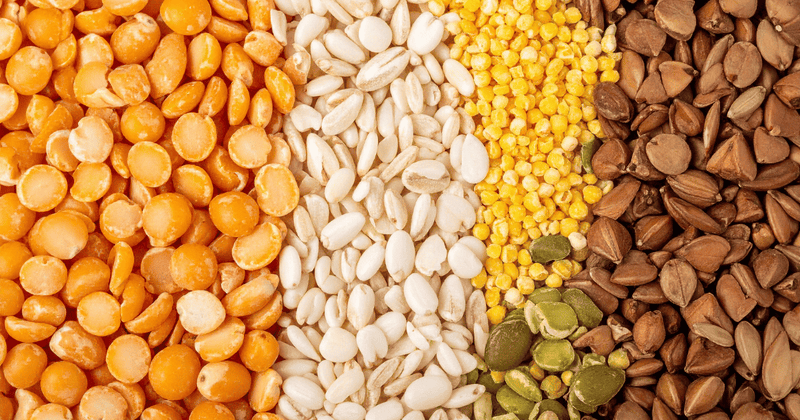 食物繊維たっぷり！もち麦で毎日快調なカラダへ