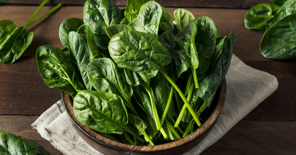 驚くべき栄養満点！ツルムラサキの効果効能と活用術