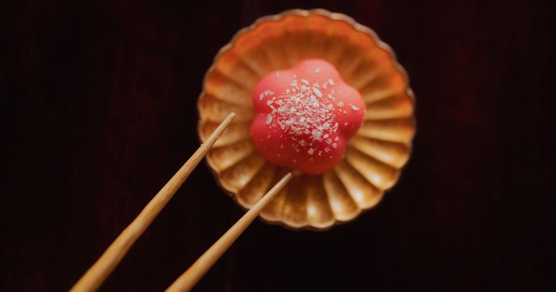 甘酸っぱさがたまらない！梅を使った絶品和菓子図鑑