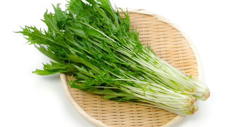 ミズナ：京野菜のルーツから食卓の彩りへ