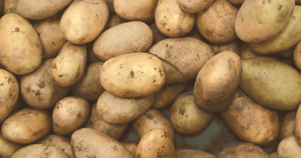 馬鈴薯（ばれいしょ）とは？じゃがいもとの違いから、選び方・保存方法・レシピまで徹底解説