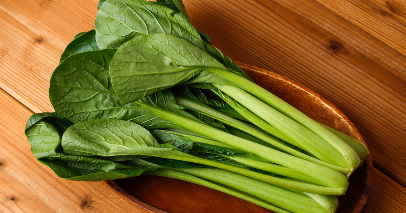 小松菜栽培で注意すべき病気：症状と対策を徹底解説