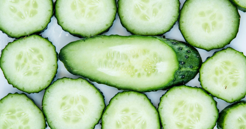 秋キュウリ栽培ガイド：地植えでの成功と豊かな収穫