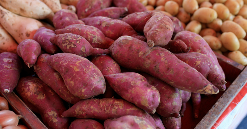 さつまいも冷凍保存術｜生・加熱別で徹底解説！美味しさ長持ちのコツ