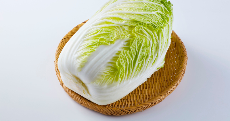 【家庭菜園】白菜を植える時期はいつ？失敗しない栽培方法と育て方のコツ