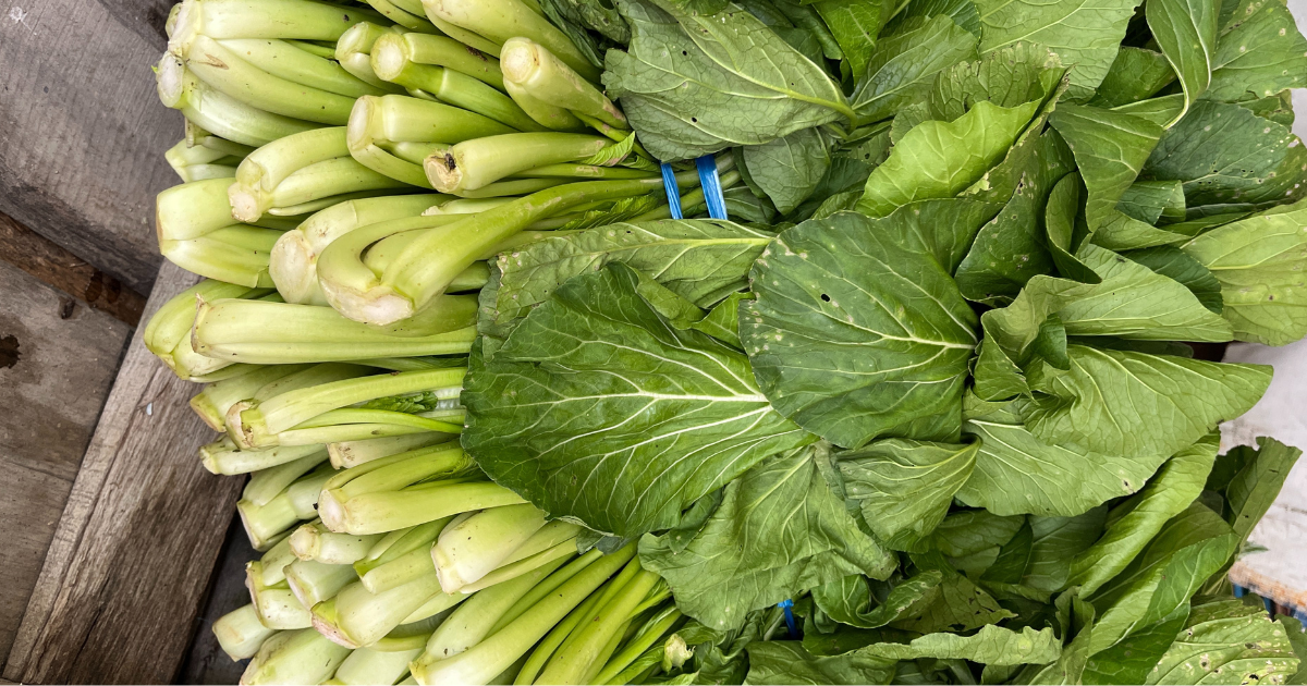 蕾菜（つぼみな）とは？特徴・栄養・選び方から、とっておきレシピ、家庭菜園まで