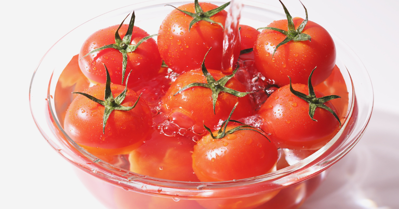 初心者でも簡単！家庭菜園でミニトマトを育てる完全ガイド