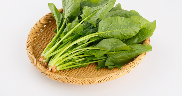 ほうれん草栽培を成功させる追肥のコツ：時期、肥料の種類、与え方を徹底解説