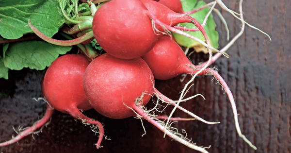 ラディッシュを極める：レシピ、保存方法まで完全ガイド