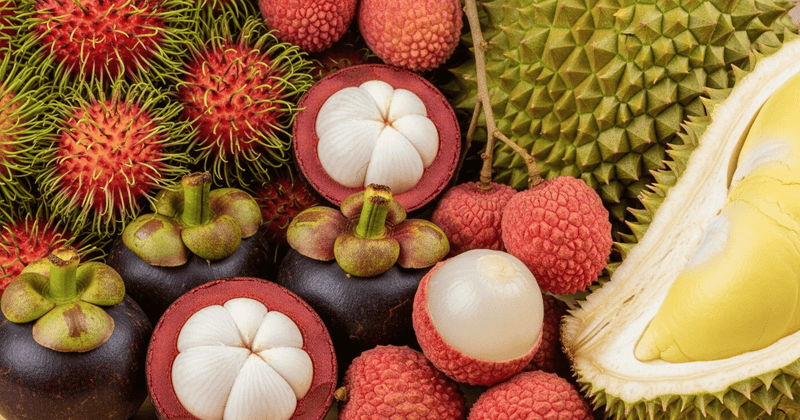 マンゴスチンを徹底解説！ライチとの違い、食べ頃の見分け方、購入場所まで