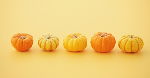 かぼちゃが甘くない？原因と甘くする方法を徹底解説！