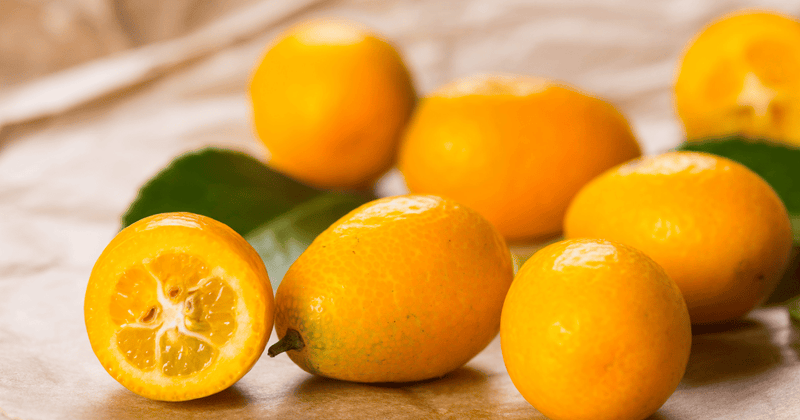 冬の喉に優しい味方！きんかん湯で体の中から温まろう