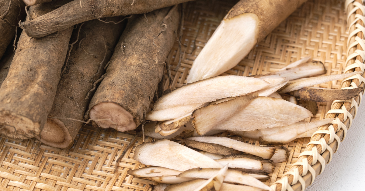 家庭菜園で挑戦！ゴボウの育て方｜品種選びから収穫までを徹底解説