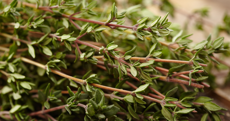 タイムを使いこなす！料理、美容、健康…魅力を徹底解説