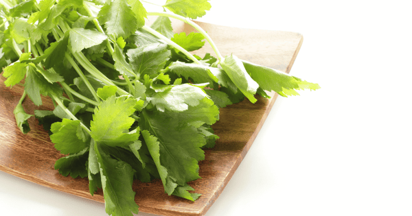 知られざる三つ葉の栄養素と効能：食卓を豊かにする和のハーブの魅力