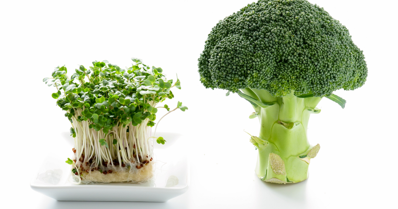 ブロッコリースプラウトとブロッコリー：知っておきたい栄養と効果の違い