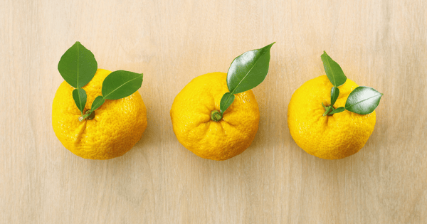 柚子の皮を余すことなく活用！乾燥方法から絶品レシピまで徹底解説