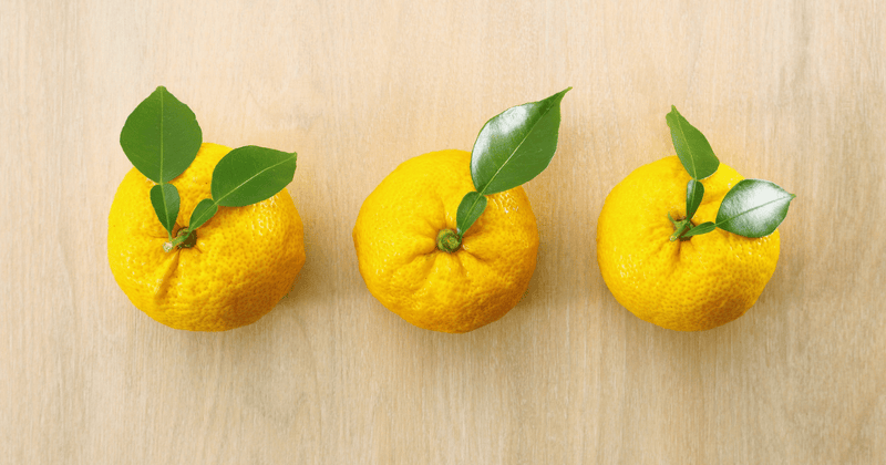 柚子の皮を余すことなく活用！乾燥方法から絶品レシピまで徹底解説