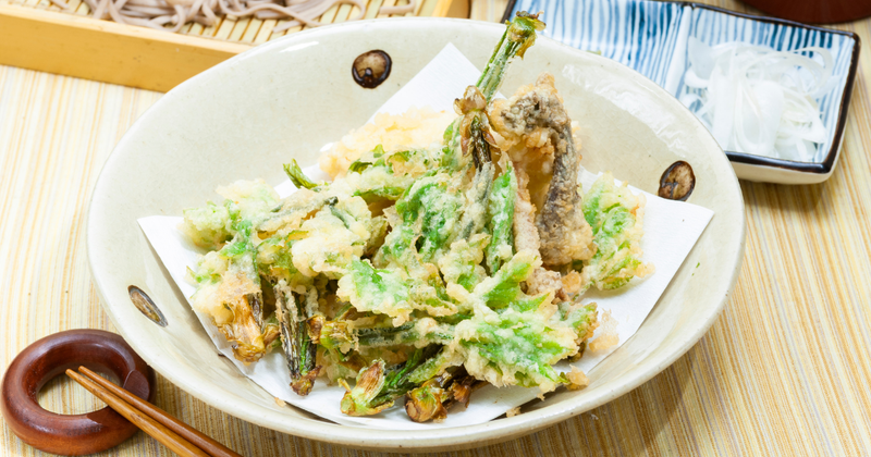 タラの芽、食べ頃を見極めて旬の味覚を堪能！選び方から調理法まで徹底解説