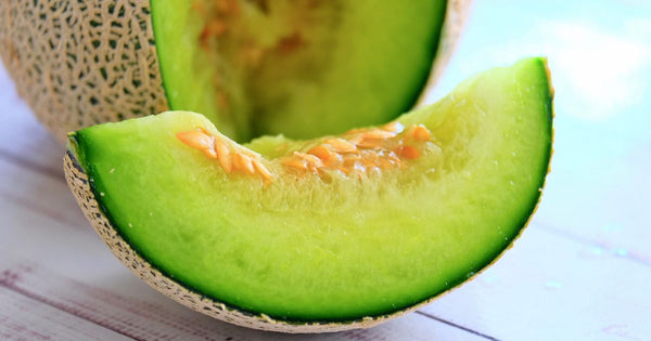 犬はメロンを食べられる？与え方の注意点とアレルギーのリスク
