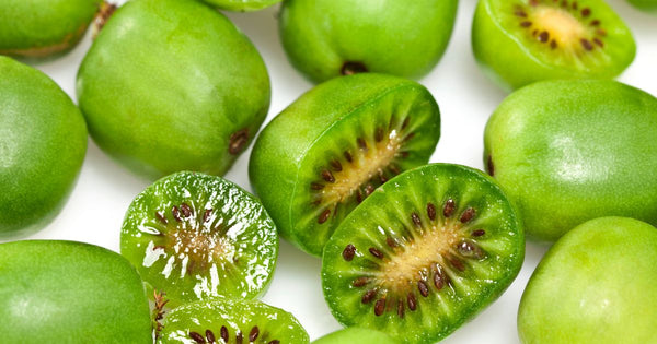 コクワの実を食べ過ぎるとどうなる？知っておきたい注意点と適量