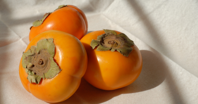 渋柿使い道徹底ガイド：渋抜きから柿渋の作り方など、余すことなく活用！