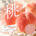 【冷蔵】旬の桃 3kg その時一番美味しい桃をお届けします！ ｜ フルーツ｜ くだもの屋CO.JP
