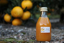 【常温】しぼりたて柑橘ジュース 各種｜ジュース｜浦虎みかん農園 - スイーツモール