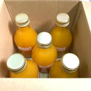 【常温】しぼりたて柑橘ジュース 各種｜ジュース｜浦虎みかん農園 - スイーツモール