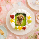 わんこ・にゃんこ写真ケーキ | ケーキ | サプライズケーキ専門店 菓の香