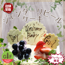 【店頭受取】ジェンダーリビールケーキ | ケーキ | ラ メゾンジュ ホールケーキ