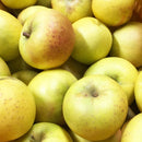 【常温】シナノスイート・無袋ふじ・アンビシャス | りんご | マルハチ安野農園