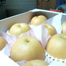 【冷蔵】幸水・豊水 | 梨 | マルハチ安野農園