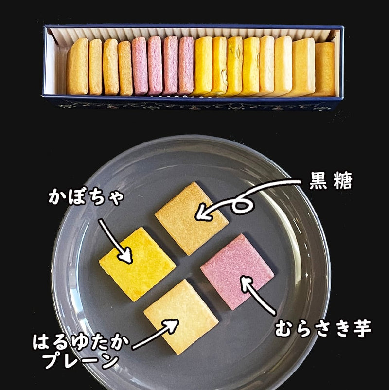 【常温】宝石缶 |クッキー|はるゆたかクッキー　いちさか