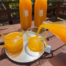 Product Image-8