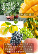 %E3%82%B8%E3%83%A5%E3%83%AC%E3%83%9D%E3%82%B9%E3%82%BF%E3%83%BC%20(1)