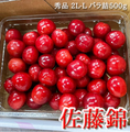 【冷蔵】佐藤錦 贈答用 秀Lサイズ以上 500g バラ詰 | さくらんぼ | くだもの屋CO.JP