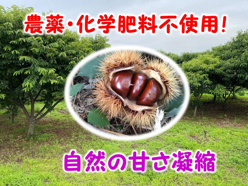 %EF%BC%95%20(1)