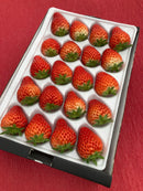 【冷蔵】紅ほっぺ | いちご | 河南いちご農場