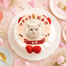 ポップアップわんこ・にゃんこ写真ケーキ | ケーキ | サプライズケーキ専門店 菓の香