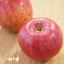 【常温】葉とらずりんご | りんご | グランド アップル